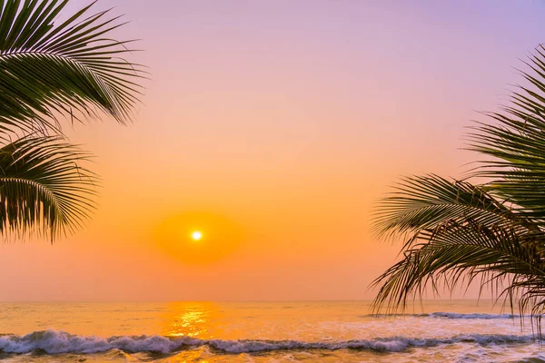 夕日や日の出の時間に海のビーチの周りのヤシの木と美しい自然 — ストック写真