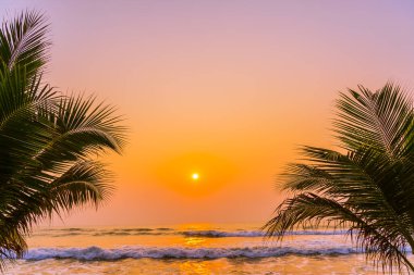 Güneşin doğuşunda ve batışında okyanus kıyısında palmiye ağaçları olan güzel bir doğa.