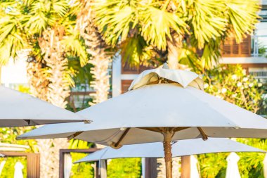 Güneş batarken veya gün doğarken sahil okyanusu etrafında palmiye ağaçları olan güzel tropikal doğa şemsiyesi.