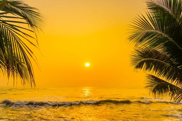 Vacker Natur Med Palm Runt Havet Stranden Vid Solnedgång Eller — Stockfoto