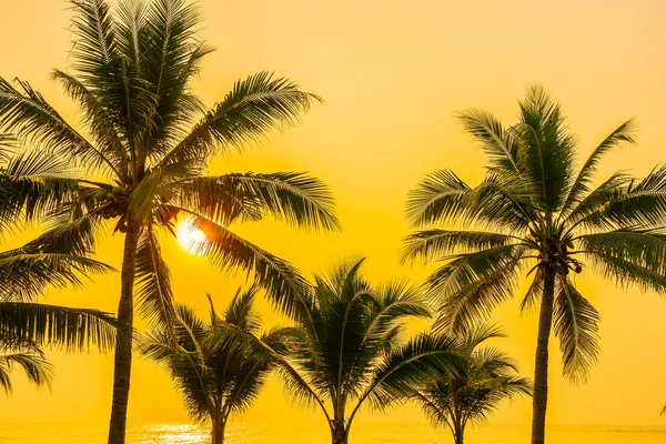 Schöne Natur Mit Palmen Rund Meer Ozean Strand Bei Sonnenuntergang — Stockfoto