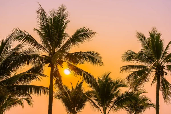 Schöne Natur Mit Palmen Rund Meer Ozean Strand Bei Sonnenuntergang — Stockfoto