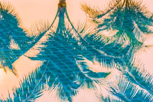 Природа Пальмами Вокруг Открытого Бассейна Гостиничном Комплексе Рядом Пляжем Океана — стоковое фото