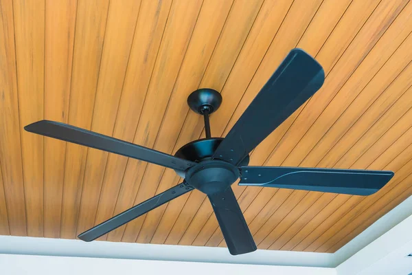Black Electric Ceiling Fan Decoration Interior Room — 스톡 사진