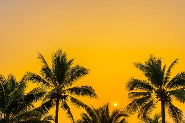 Bella Natura Con Palma Intorno Spiaggia Mare Oceano Tramonto All — Foto Stock