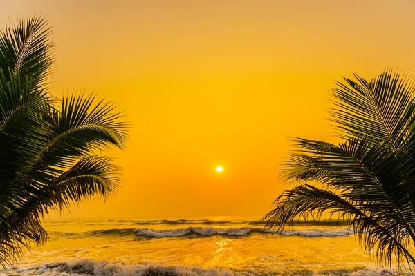 Krásná Příroda Palmami Kolem Moře Oceán Pláž Při Západu Slunce — Stock fotografie