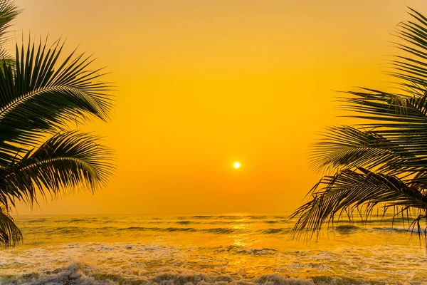 Vacker Natur Med Palm Runt Havet Stranden Vid Solnedgång Eller — Stockfoto