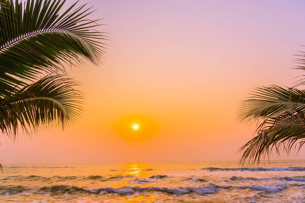 Beautiful nature with palm tree around sea ocean beach at sunset or sunrise time