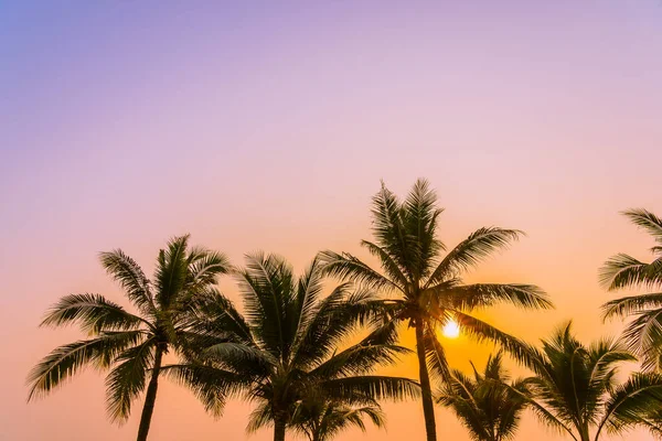 Schöne Natur Mit Palmen Rund Meer Ozean Strand Bei Sonnenuntergang — Stockfoto