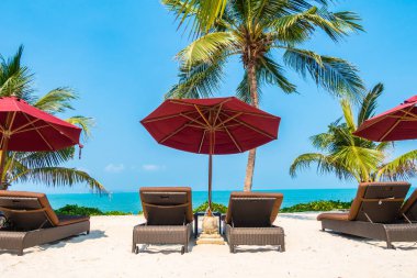 Güzel tropikal deniz okyanusu, şemsiyesi ve sandalyesi ile mavi gökyüzünde hindistan cevizi palmiyesinin etrafında tatil için