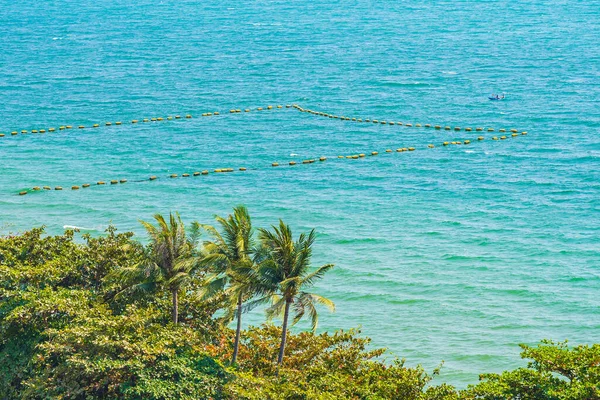 Prachtige Tropische Natuur Van Strand Zee Oceaan Baai Rond Kokosnoot — Stockfoto