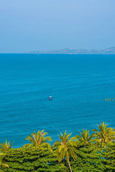 Beautiful Tropical Nature Beach Sea Ocean Bay Coconut Palm Tree — Stock Photo, Image