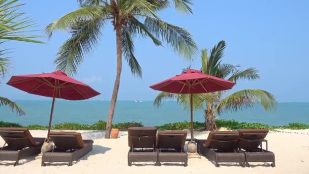 美丽的热带海滩海 带着雨伞和椅子 环绕着蓝天椰子树休闲度假 — 图库视频影像