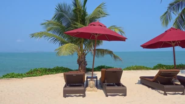 Beautiful Tropical Beach Sea Ocean Umbrella Chair Coconut Palm Tree — Stock Video