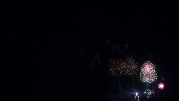 Beautiful Colorful Firework Display Night Celebrate Anniversary — Stock Video