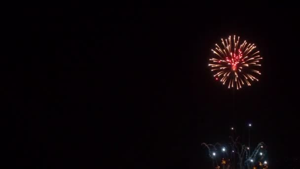 Beautiful Colorful Firework Display Night Celebrate Anniversary — 비디오