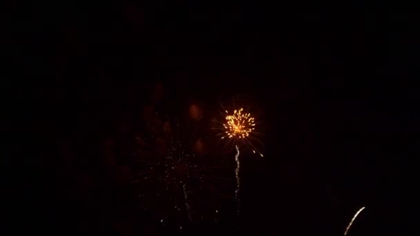 Beautiful Colorful Firework Display Night Celebrate Anniversary — ストック動画