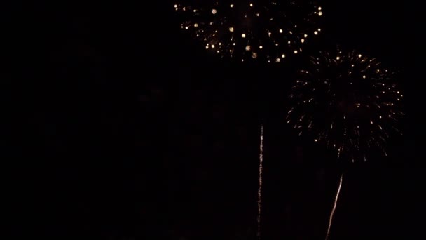 Mooie Kleurrijke Vuurwerk Display Nachts Vieren Verjaardag — Stockvideo