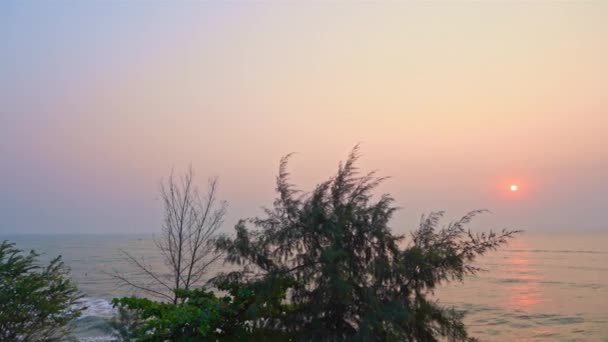 Prachtige Natuur Met Boom Rond Zee Oceaan Strand Bij Zonsondergang — Stockvideo