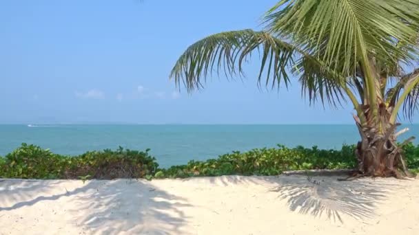 Bella Natura Tropicale Della Spiaggia Mare Oceano Con Cielo Blu — Video Stock