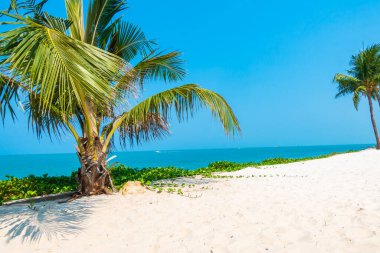 Hindistan cevizi palmiyesi etrafındaki deniz okyanusu koyunun güzel tropikal doğası tatil için.