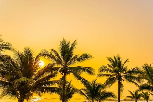 Schöne Natur Mit Palmen Rund Meer Ozean Strand Bei Sonnenuntergang — Stockfoto