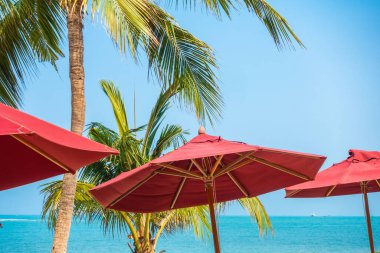 Güzel tropikal deniz okyanusu, şemsiyesi ve sandalyesi ile mavi gökyüzünde hindistan cevizi palmiyesinin etrafında tatil için