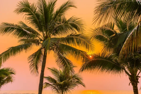 Schöne Natur Mit Palmen Rund Meer Ozean Strand Bei Sonnenuntergang — Stockfoto