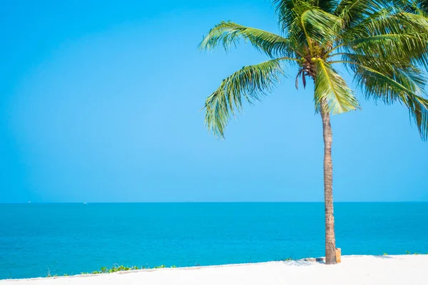 Bella Natura Tropicale Spiaggia Mare Oceano Baia Intorno Palma Cocco — Foto Stock