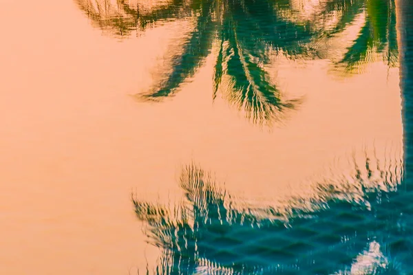 Hermosa Naturaleza Con Palmera Alrededor Piscina Aire Libre Complejo Hotelero — Foto de Stock