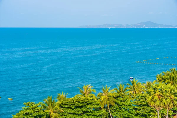 Hindistan Cevizi Palmiyesi Etrafındaki Deniz Okyanusu Koyunun Güzel Tropikal Doğası — Stok fotoğraf