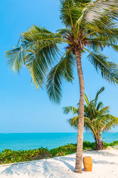 Bella Natura Tropicale Spiaggia Mare Oceano Baia Intorno Palma Cocco — Foto Stock
