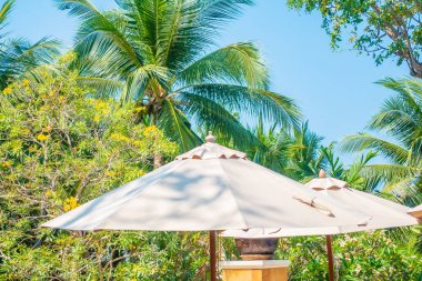 Şemsiye ve sandalye deniz kıyısında, tatil için mavi gökyüzü arka planında hindistan cevizi palmiyesi ağacı olan sandalye.