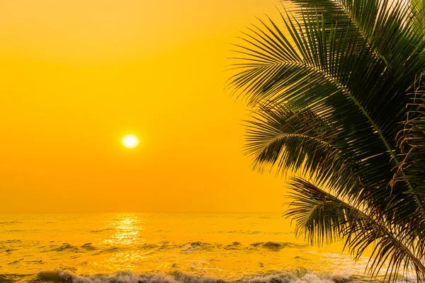 夕日や日の出の時間に海のビーチの周りのヤシの木と美しい自然 — ストック写真