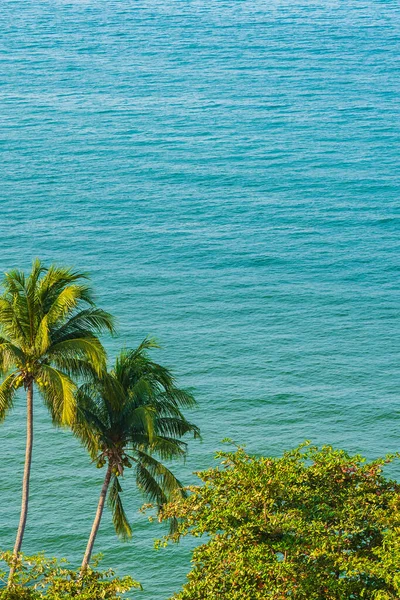Hermosa Naturaleza Tropical Playa Mar Océano Bahía Alrededor Palmera Coco — Foto de Stock