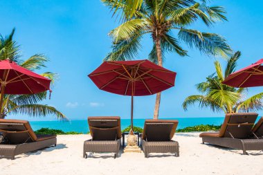 Güzel tropikal deniz okyanusu, şemsiyesi ve sandalyesi ile mavi gökyüzünde hindistan cevizi palmiyesinin etrafında tatil için