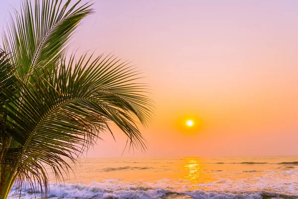 Природа Пальмами Вокруг Морского Пляжа Закате Восходе Солнца — стоковое фото