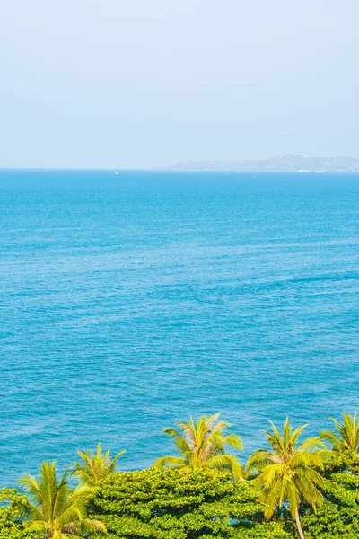 Beautiful Tropical Nature Beach Sea Ocean Bay Coconut Palm Tree — Stock Photo, Image