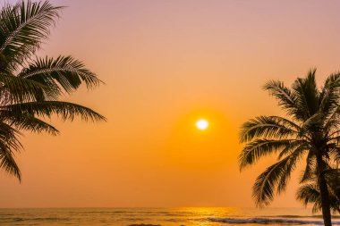 Güneşin doğuşunda ve batışında okyanus kıyısında palmiye ağaçları olan güzel bir doğa.