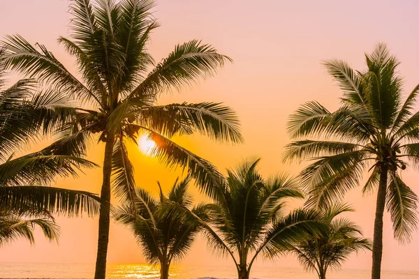 美丽的自然 日落或日出时带着棕榈树环绕着海滩 — 图库照片