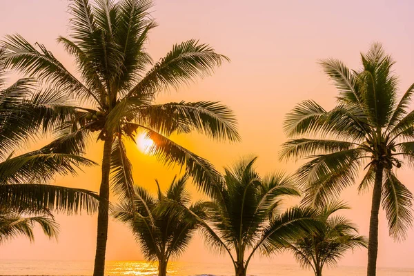 Schöne Natur Mit Palmen Rund Meer Ozean Strand Bei Sonnenuntergang — Stockfoto