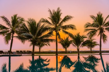Güzel doğa, açık havuz çevresindeki palmiye ağaçları oteldeki tatil beldesinde, neredeyse deniz kıyısında.