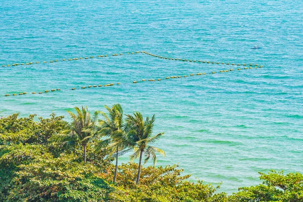 Prachtige Tropische Natuur Van Strand Zee Oceaan Baai Rond Kokosnoot — Stockfoto