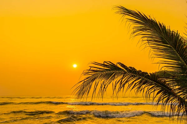 Belle Nature Avec Palmier Autour Mer Océan Plage Coucher Soleil — Photo