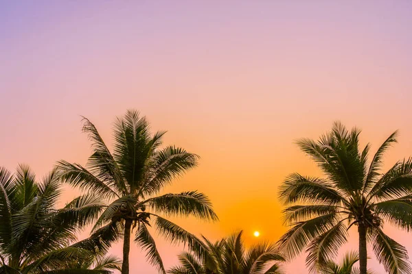 Schöne Natur Mit Palmen Rund Meer Ozean Strand Bei Sonnenuntergang — Stockfoto