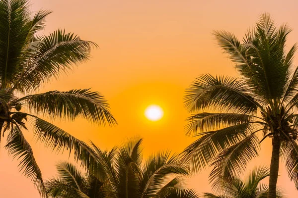 Schöne Natur Mit Palmen Rund Meer Ozean Strand Bei Sonnenuntergang — Stockfoto