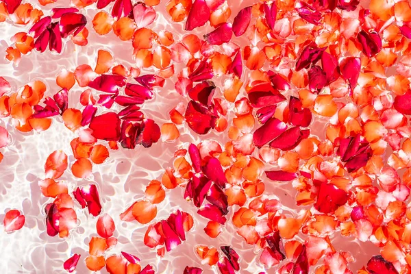 Rosa Roja Flor Agua Bañera Decoración Interior Para Tomar Baño —  Fotos de Stock