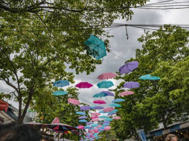 Şemsiyeler Chatuchak 'taki ağaçla takılıyor. Hafta sonu Bangkok Tayland pazarı.