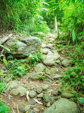 Tayland 'ın Sukhothai bölgesindeki Ramkhamhaeng Ulusal Parkı' ndaki Khao Luang dağının tepesine orman yolu.