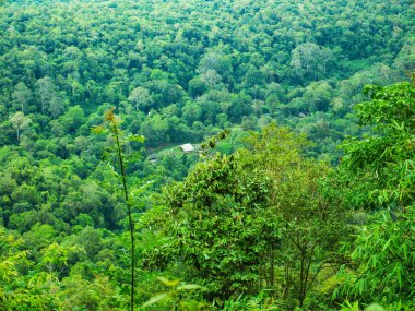 Tayland 'ın Sukhothai bölgesindeki Ramkhamhaeng Ulusal Parkı' ndaki Khao Luang Dağı 'nın zirvesine doğru güzel bir manzara.